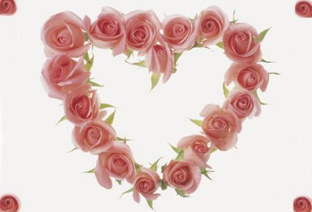 un coeur avec un contour rempli de rose